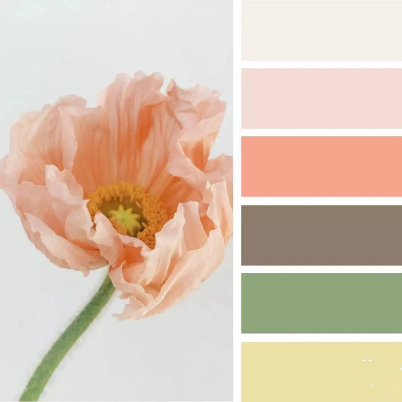 化妝品盒色彩搭配