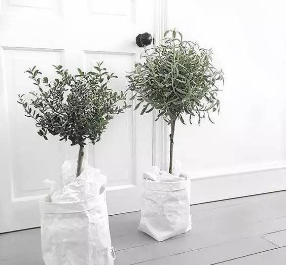 印刷禮品袋定做-廣州駿業(yè)包裝實(shí)業(yè)有限公司 印刷禮品袋定做